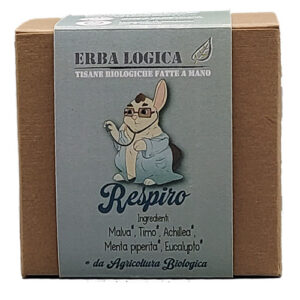 Infuso di erbe balsamiche ideale nei mesi più freddi